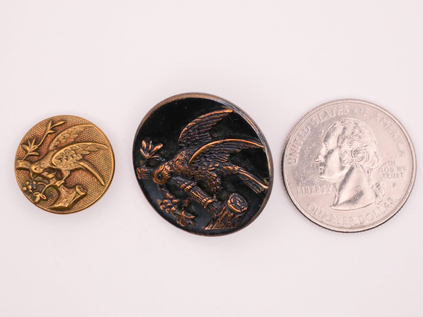 Parrot Bird Branch Brass or Tinted Victorian Metal Button Various 18-26mm