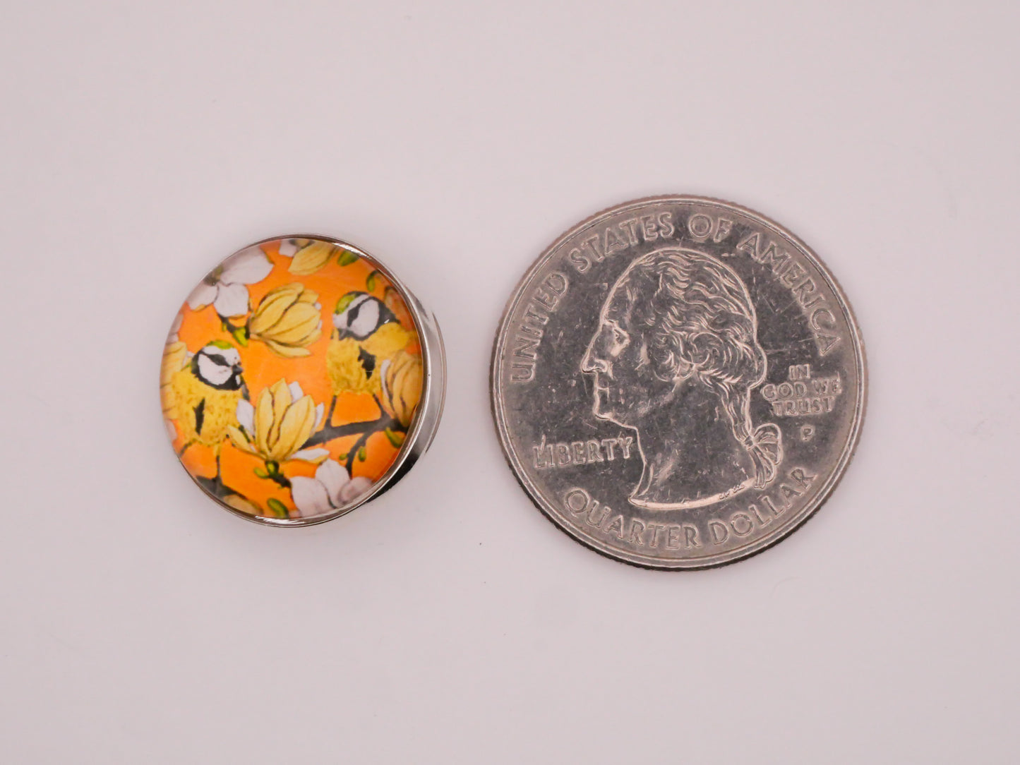 Bird Flowers Illustration Glass Silver Metal Set of Five Buttons Various 20mm