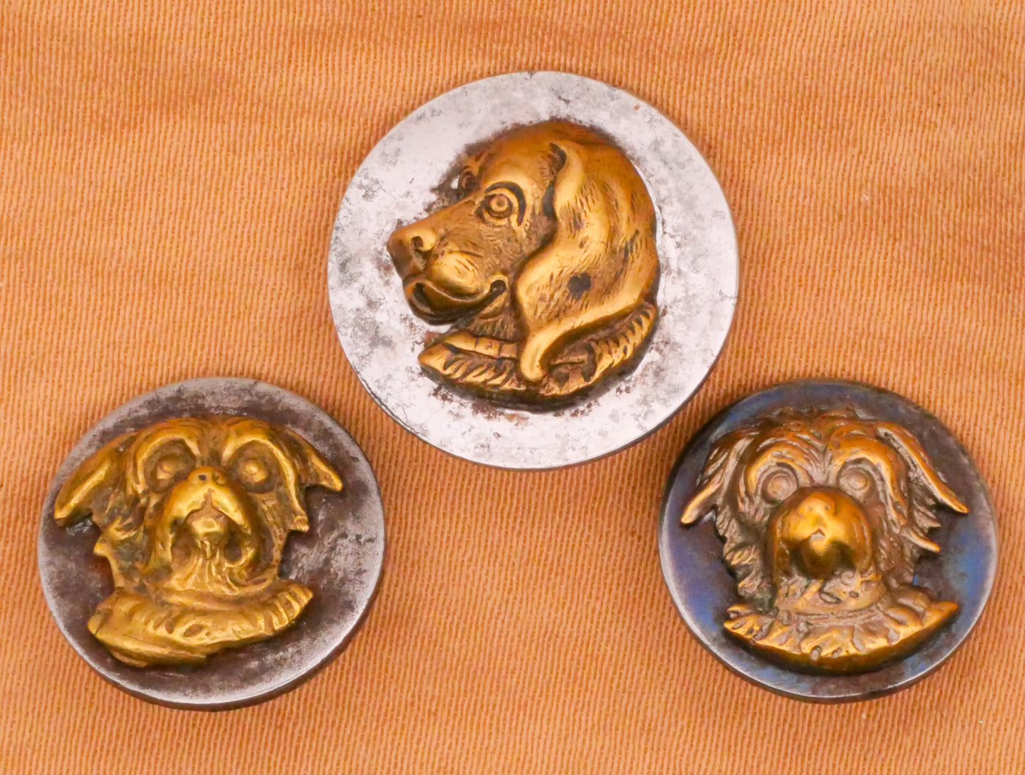 Dog Face Portrait Steel Brass Victorian Button Various 14-17mm