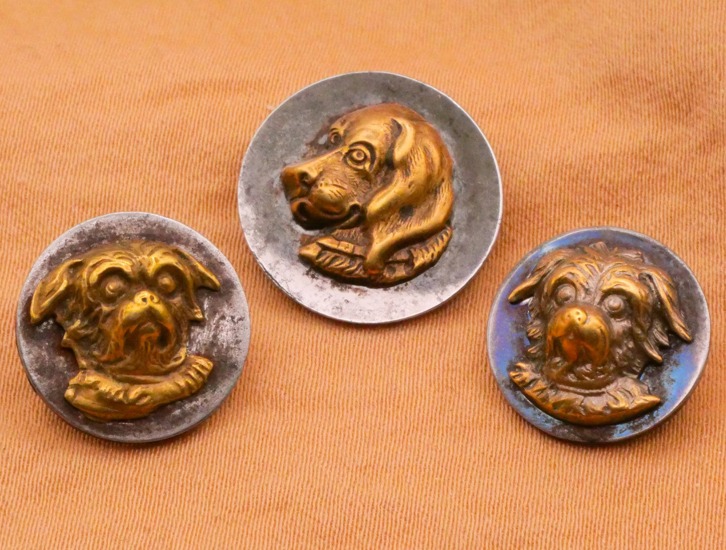 Dog Face Portrait Steel Brass Victorian Button Various 14-17mm