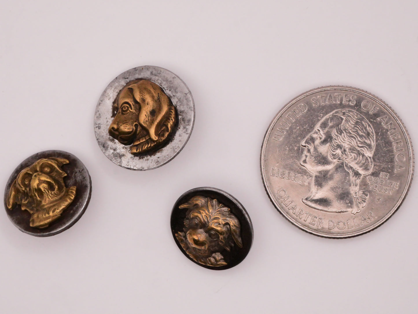 Dog Face Portrait Steel Brass Victorian Button Various 14-17mm