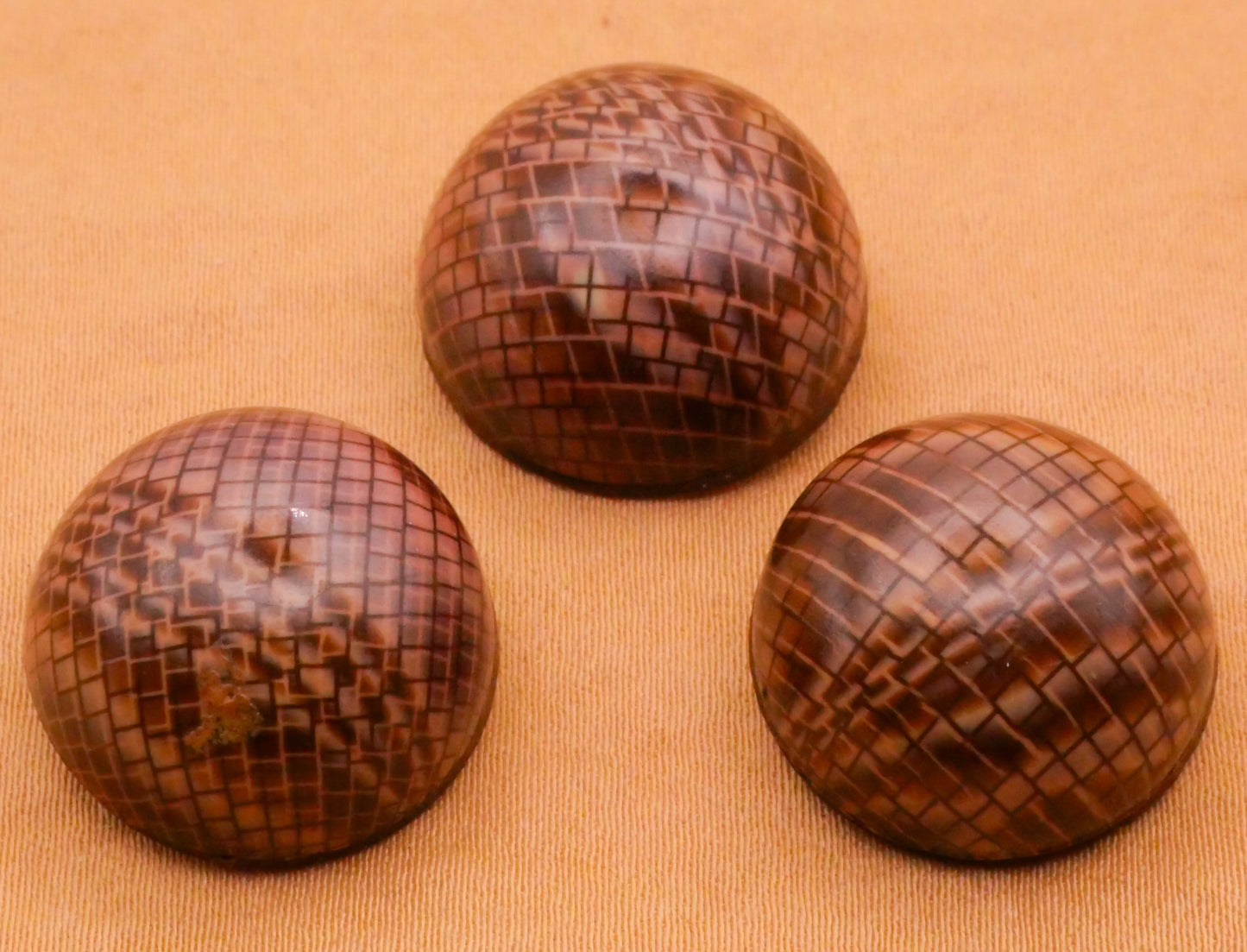 Snake Skin Animal Print Celluloid Bubble Early Plastic Button Various 18mm