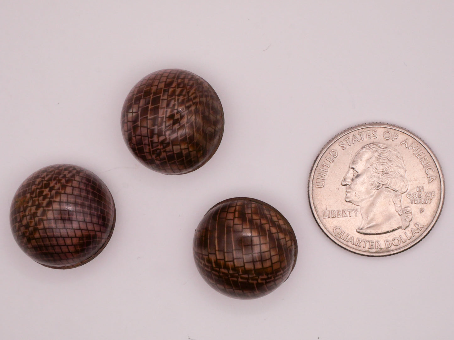 Snake Skin Animal Print Celluloid Bubble Early Plastic Button Various 18mm