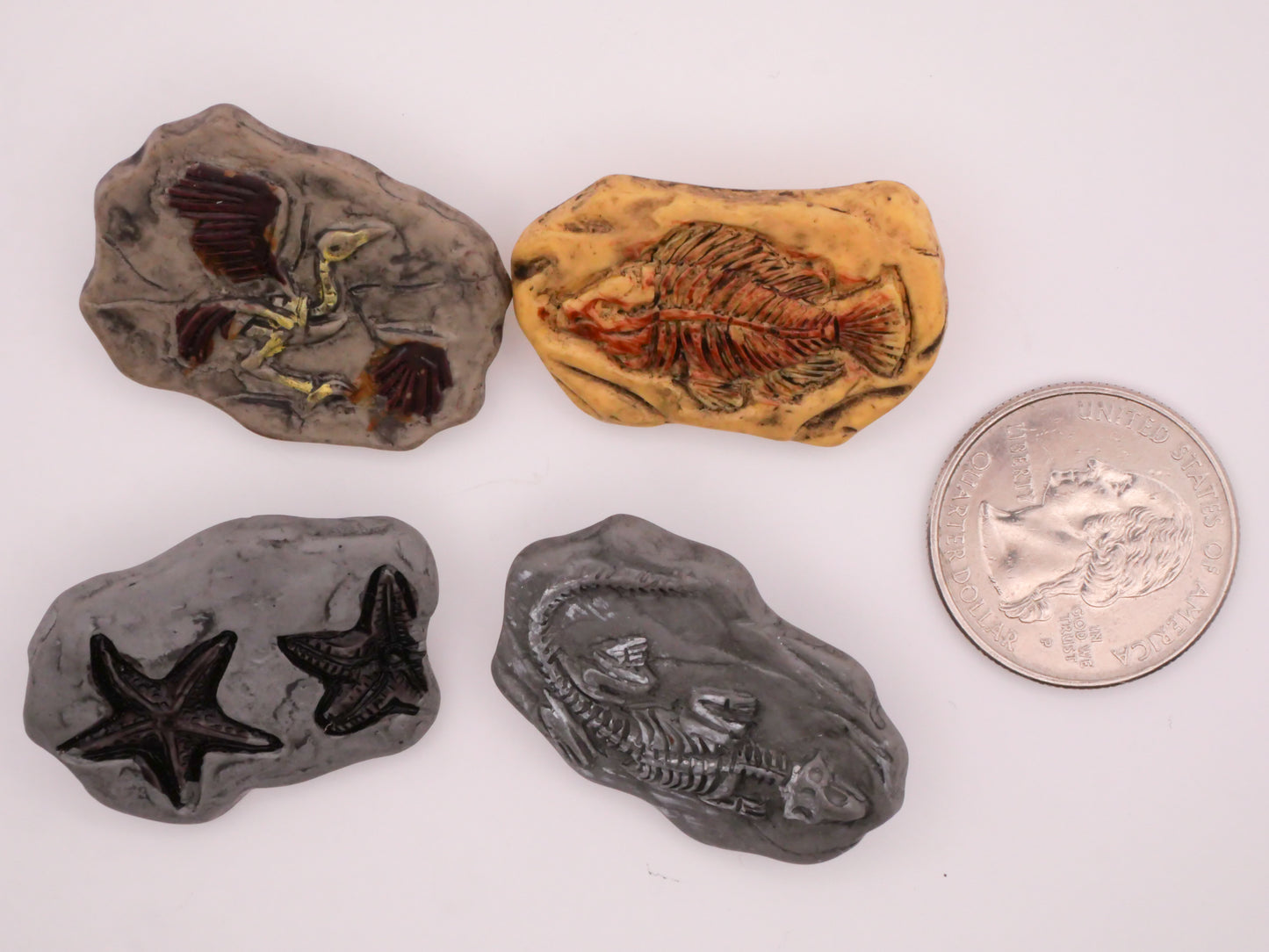 Fossil Animals Realistic Stone Plastic Set of Four Buttons 22-36mm