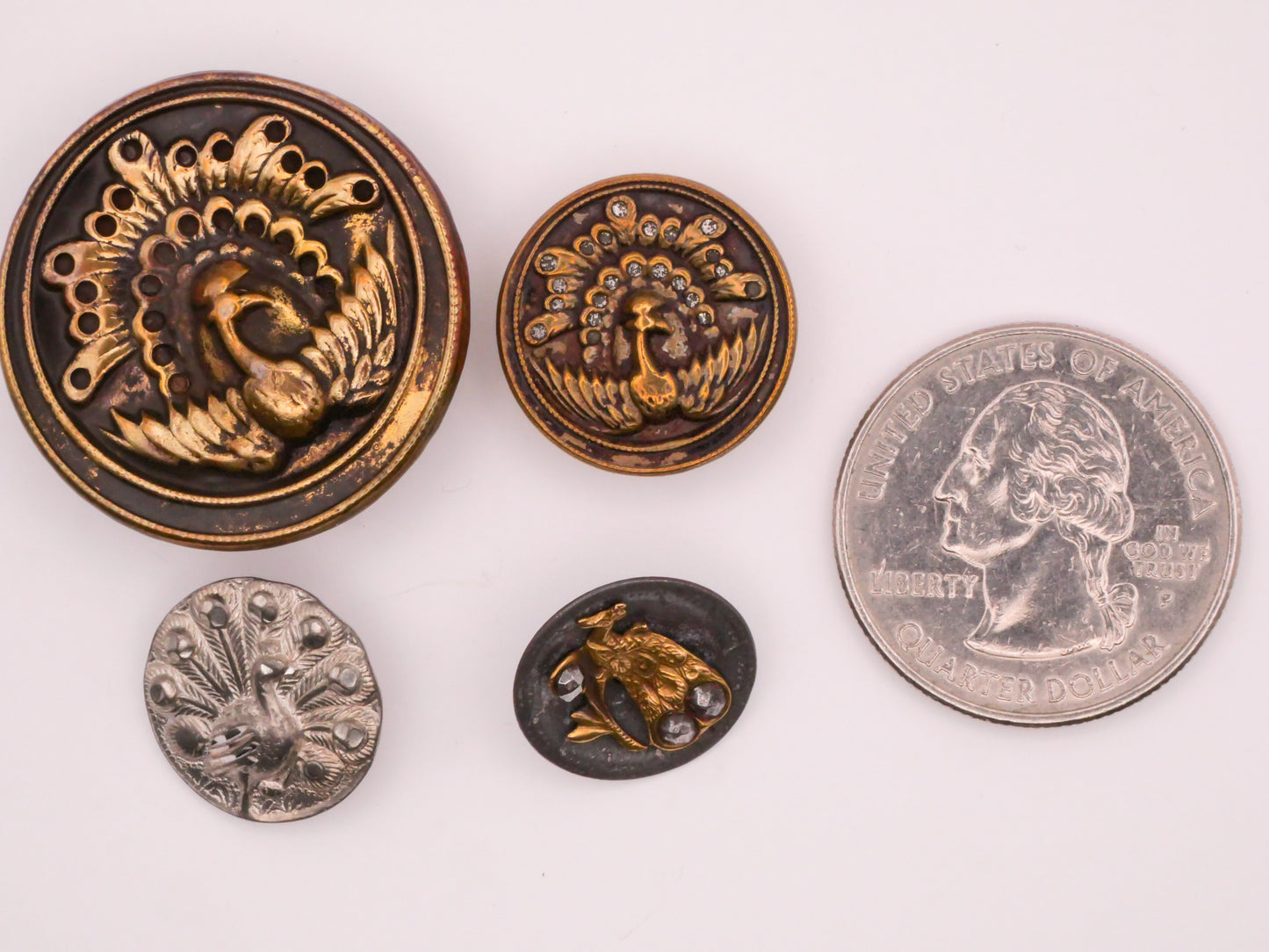Peacock Bird Victorian Metal Button Various 14-29mm