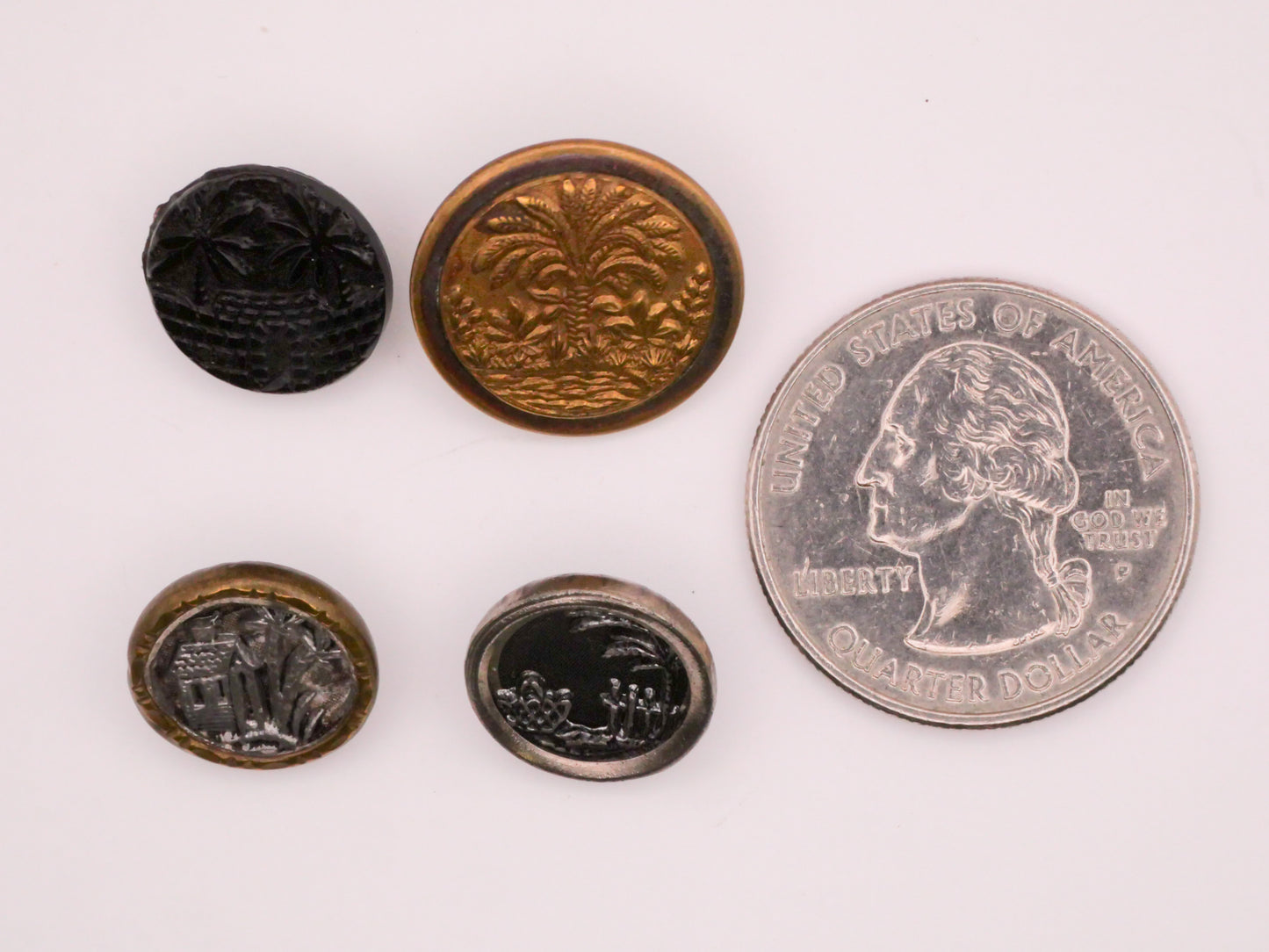 Palm Tree Landscape Antique Picture Button Various 13-18mm