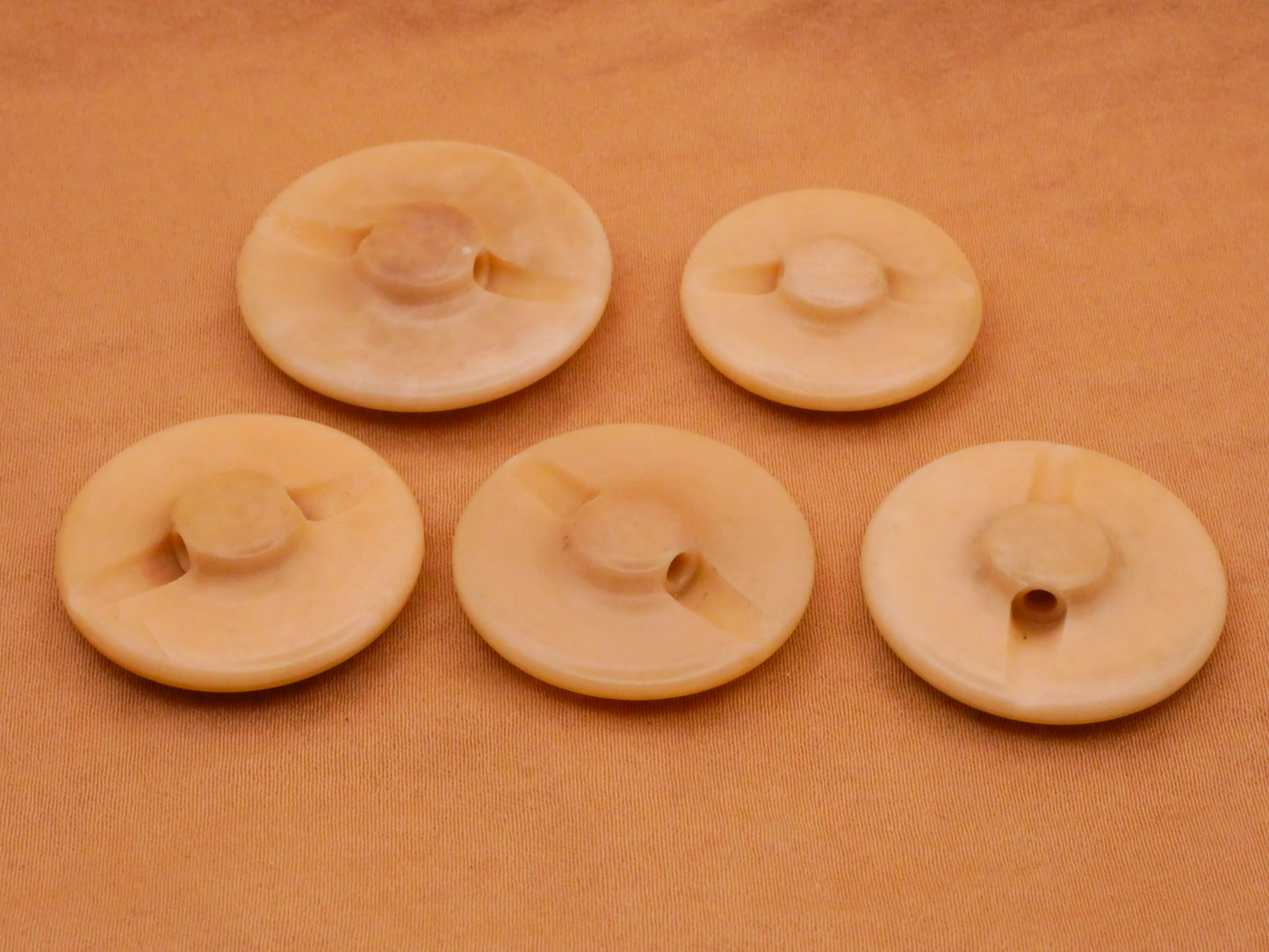 Dyed Center Vegetable Ivory Tagua Nut Vintage Button Various 23-28mm