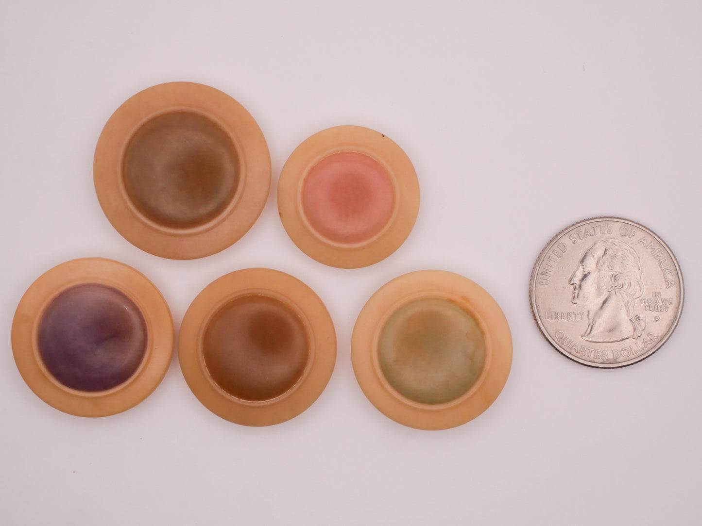 Dyed Center Vegetable Ivory Tagua Nut Vintage Button Various 23-28mm