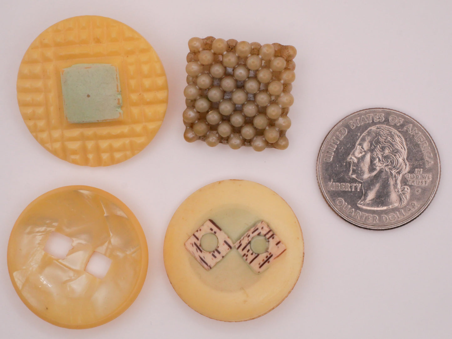 Butter Square Motif Celluloid Early Plastic Button Various 21-30mm