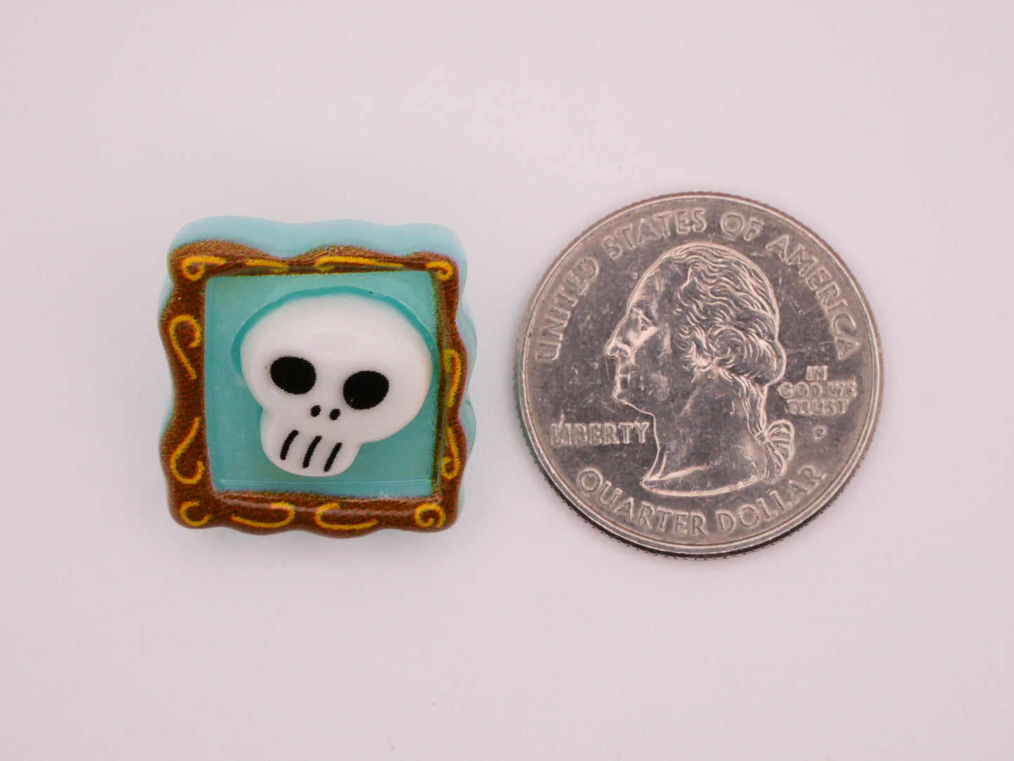 Skull Skeleton Picture Frame Aqua Plastic Button 20x21mm