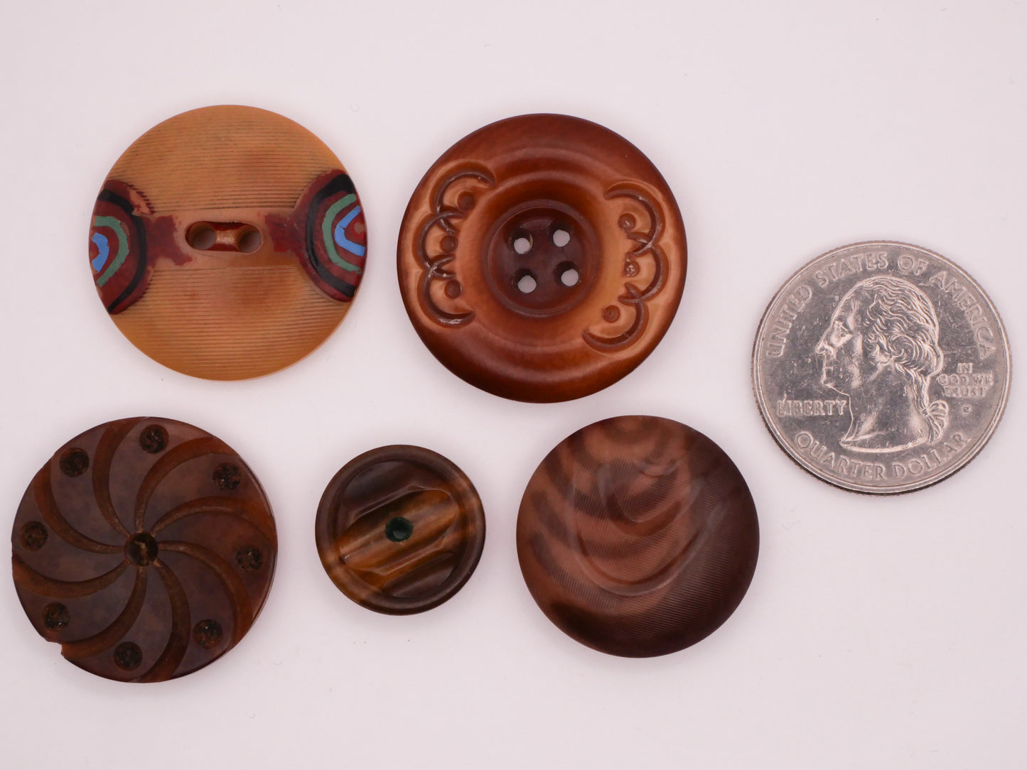 Vegetable Ivory Antique Tagua Nut Button Various 16-28mm