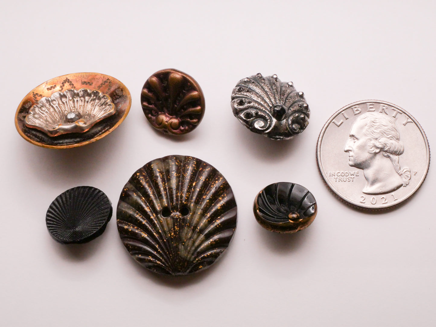 Seashell Clamshell Vintage or Antique Button Various 13-26mm
