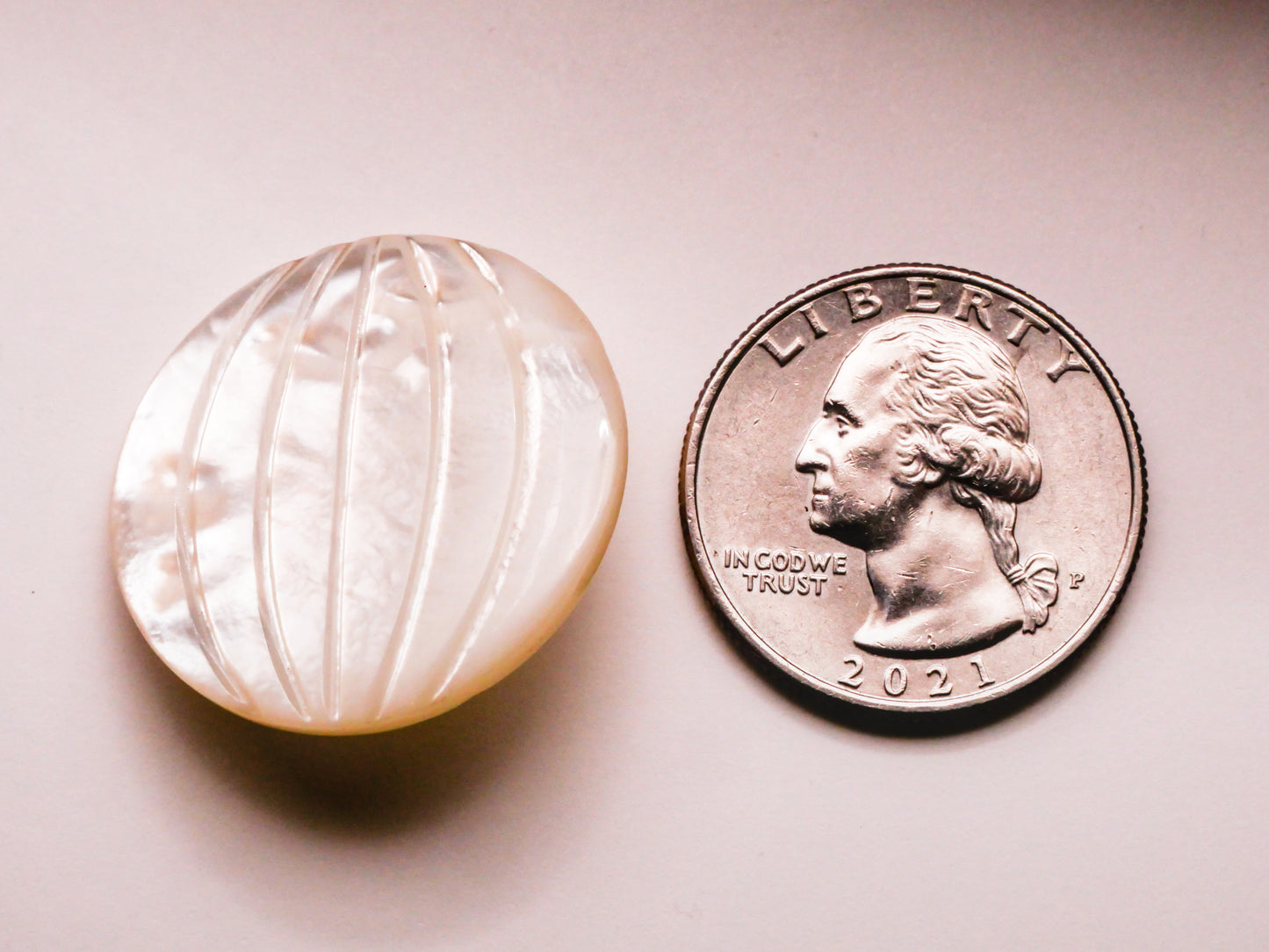 Longitude Lines Globe Carved Mother of Pearl Button 28mm