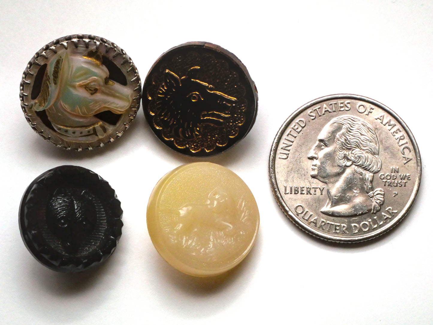 Canine Dog Wolf or Fox Button Various 17-19mm