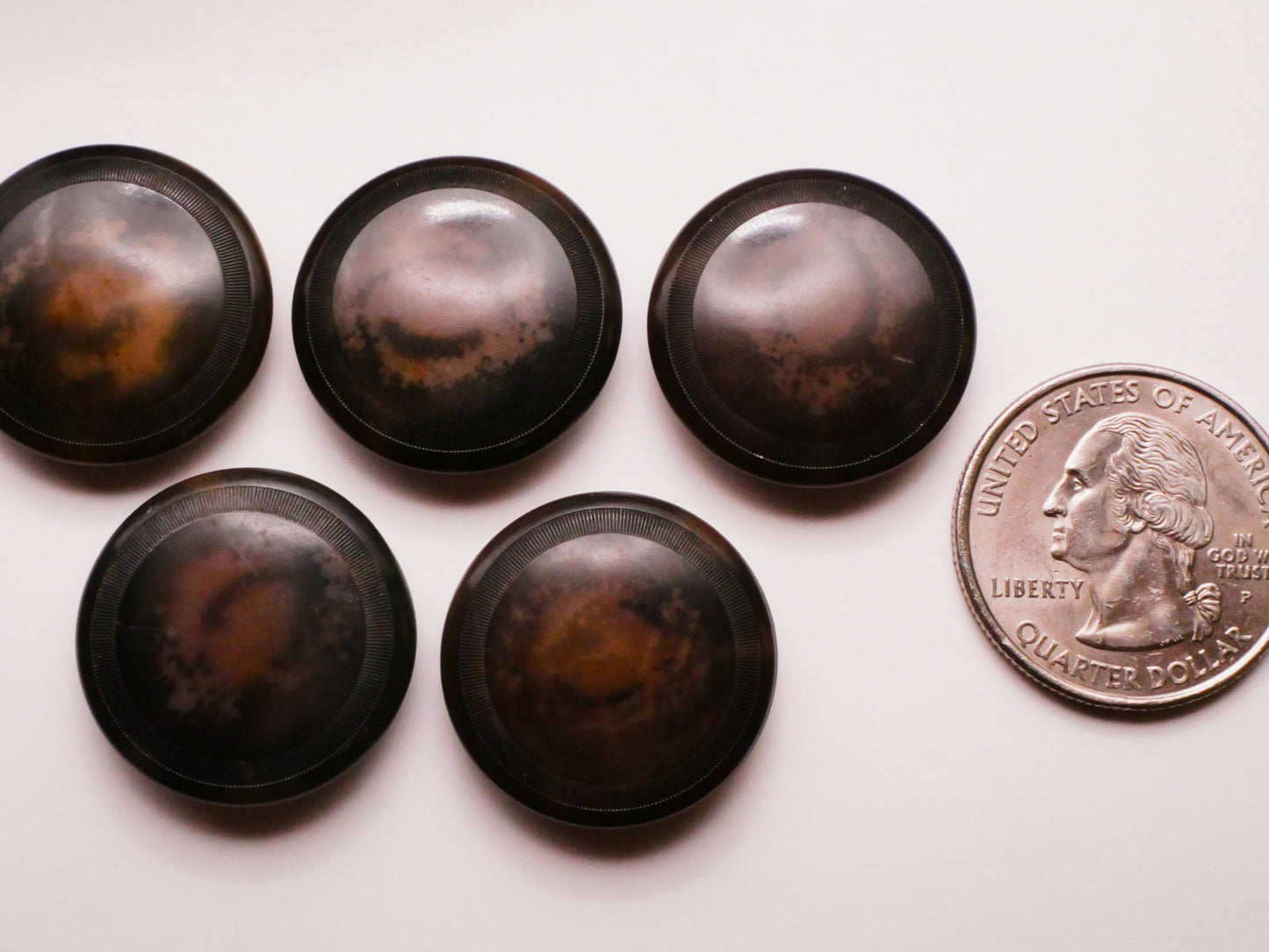 Outer Space Photo Look Natural Vegetable Ivory Tagua Nut Button Various 23mm
