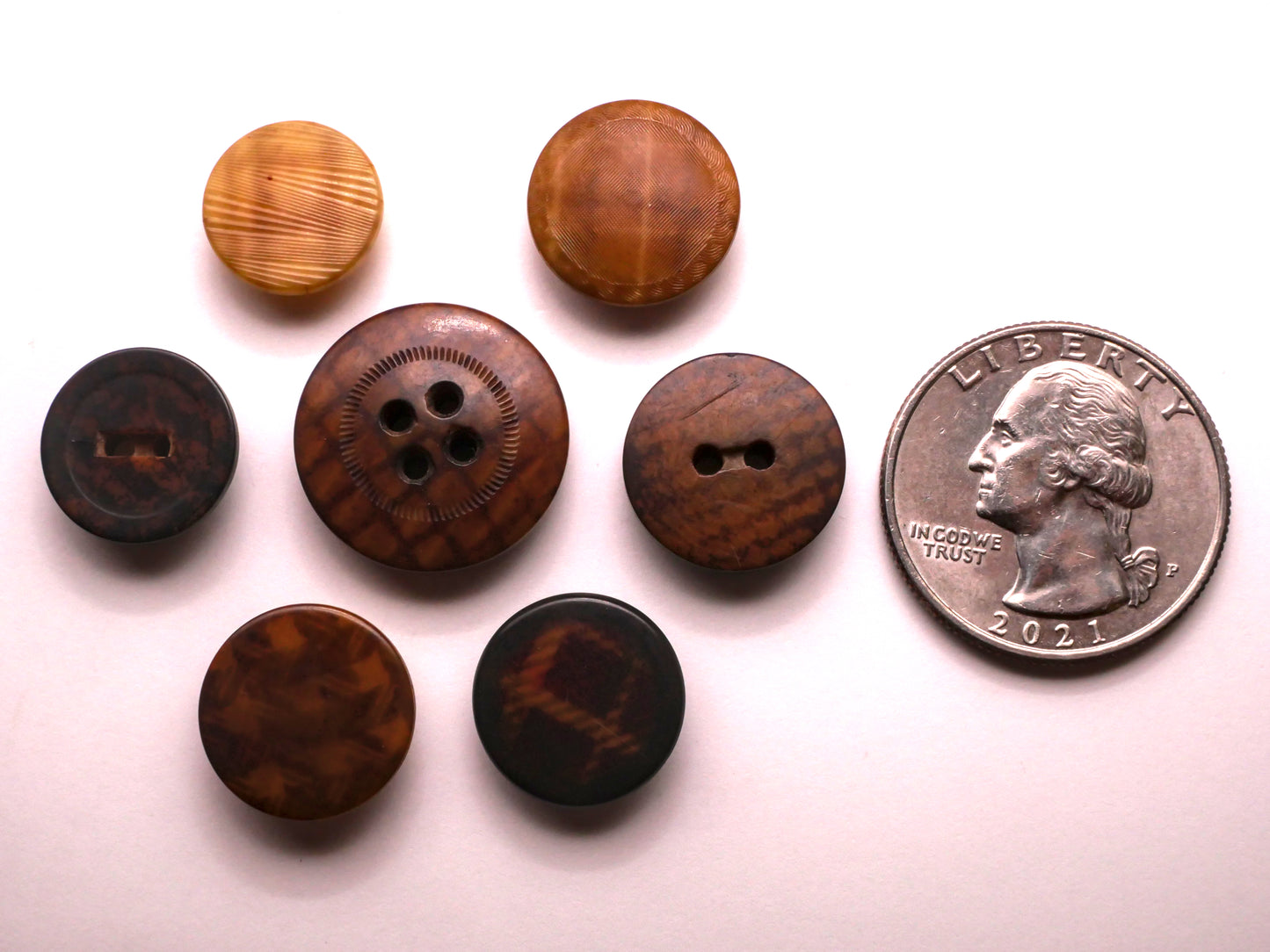 Plaid Vegetable Ivory Tagua Nut Button Various 13-19mm