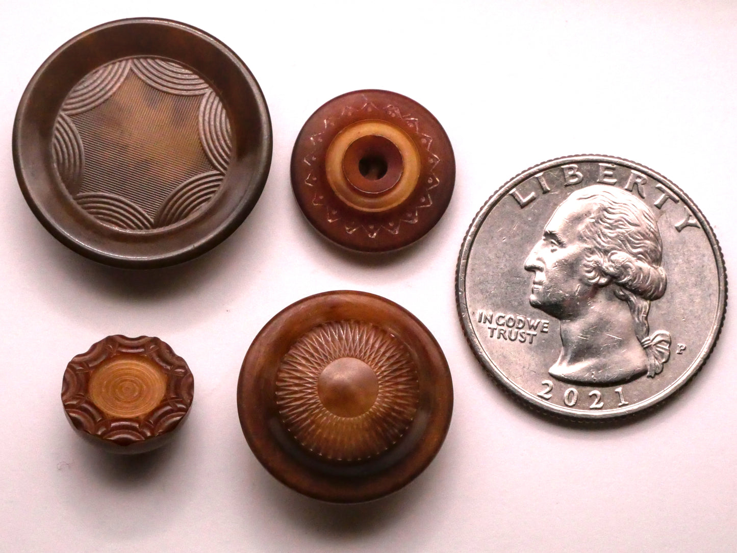 Sun Design Vegetable Ivory Tagua Nut Button Various 12-23mm