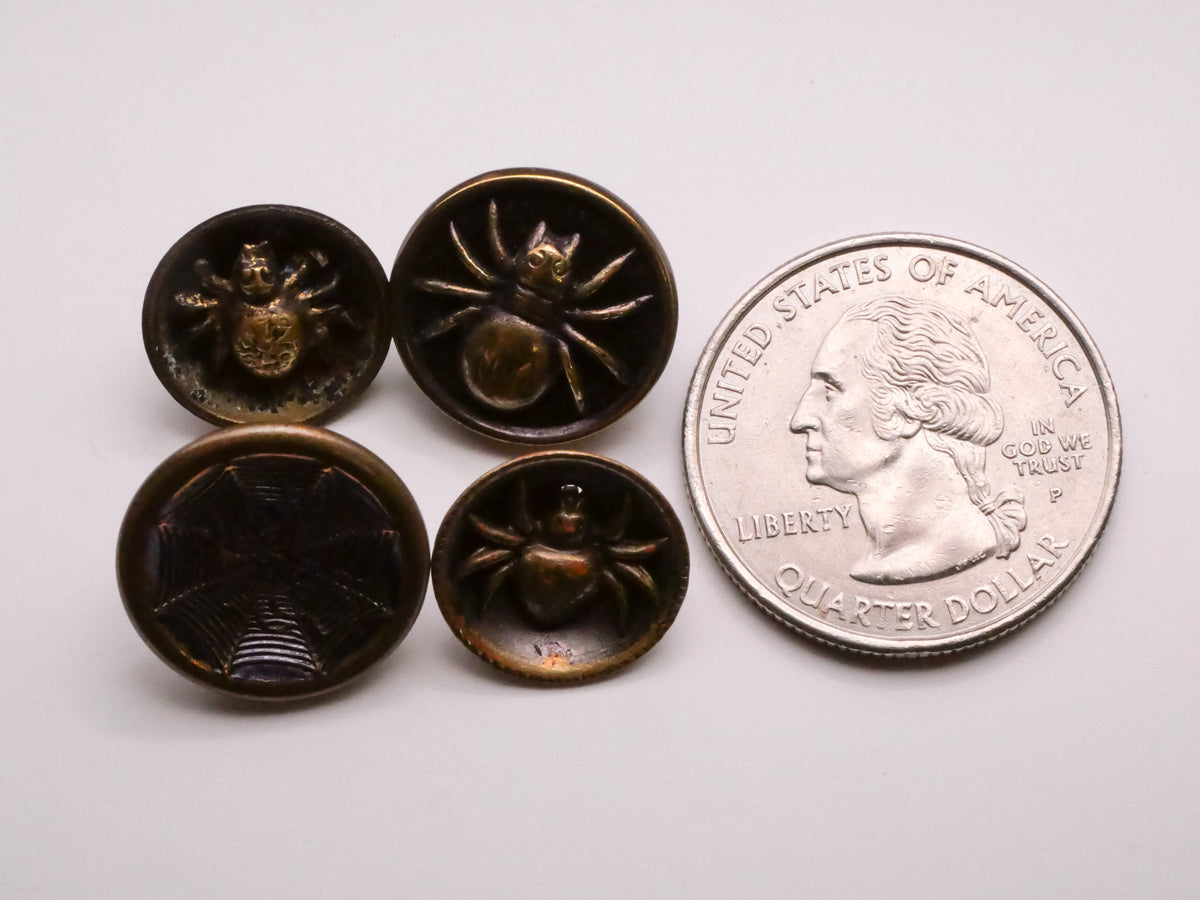 Spider Insect Victorian Metal Button Various 13-17mm