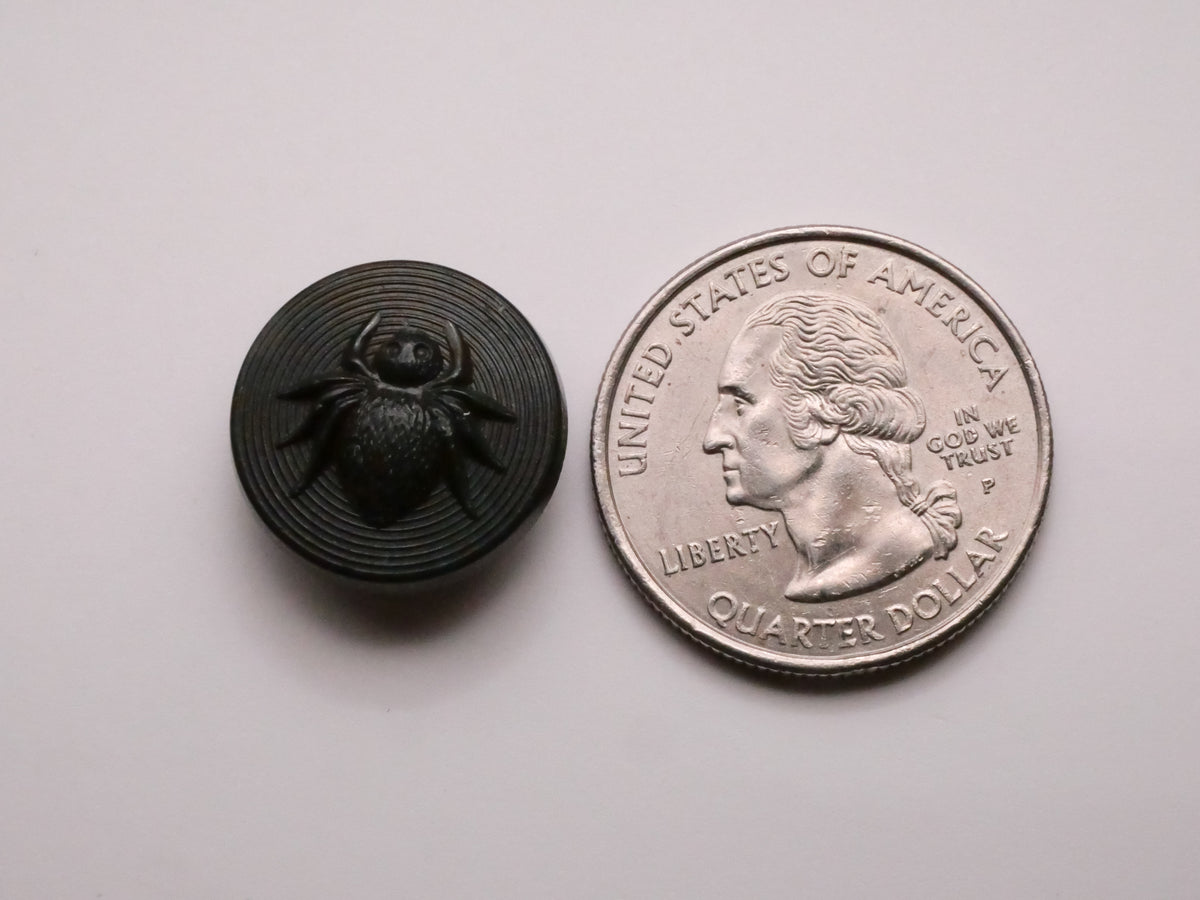 Spider Insect Rubber Composite Early Plastic Button 18mm