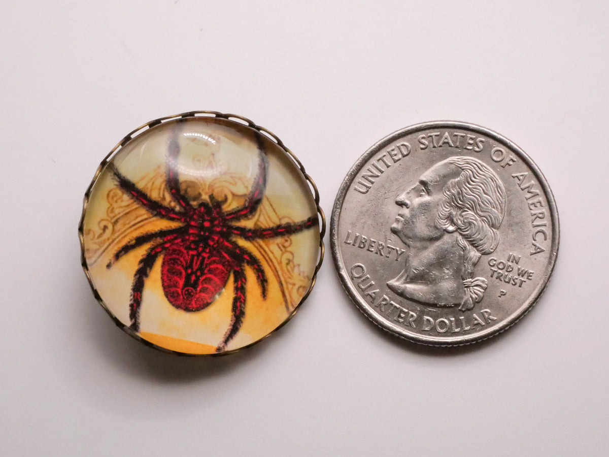 Spider Red Yellow Dome Glass Lace Edge Bronze Metal Button 26mm