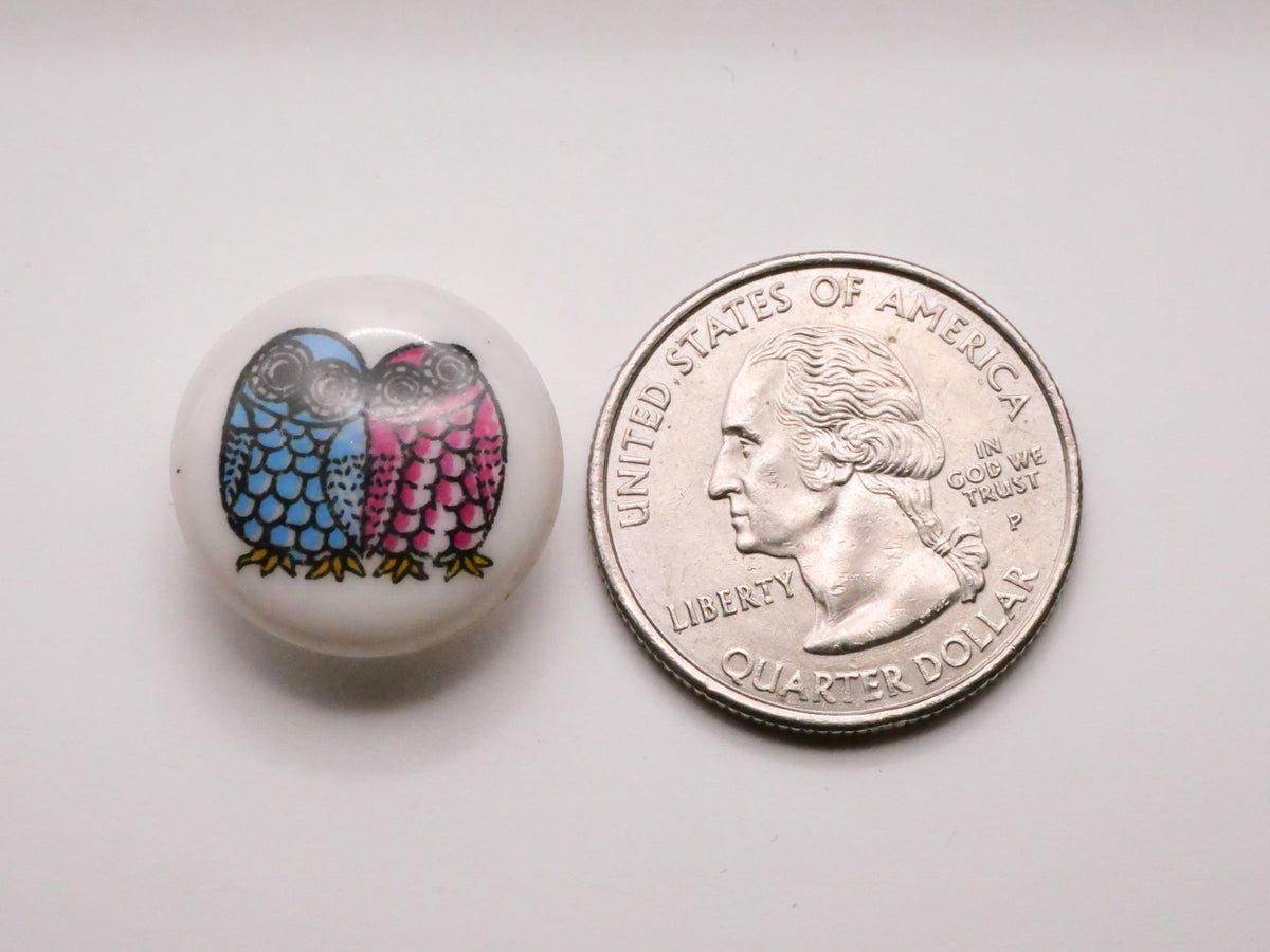 Owl Friends Teal Fuchsia White Plastic Button 19mm