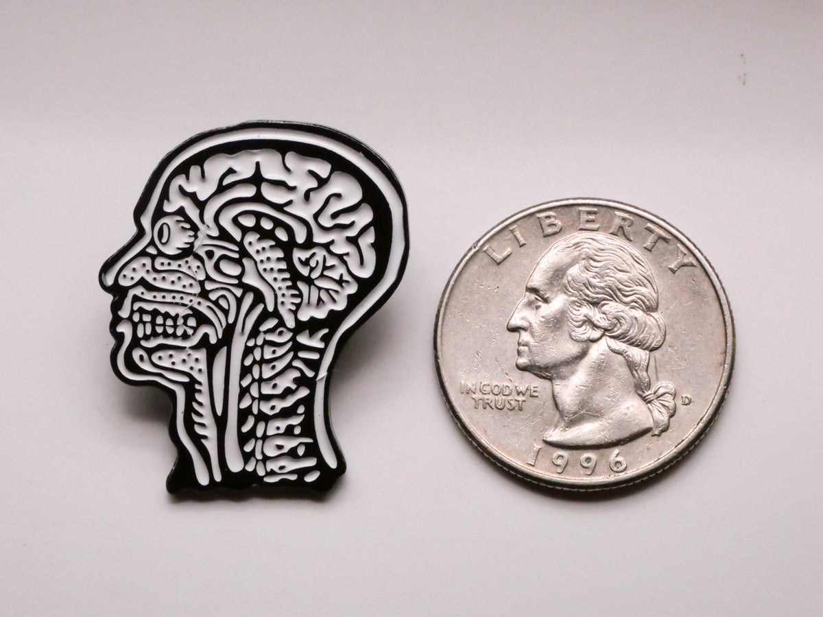 Human Head Anatomy Section View Enamel Metal Button 23x30mm