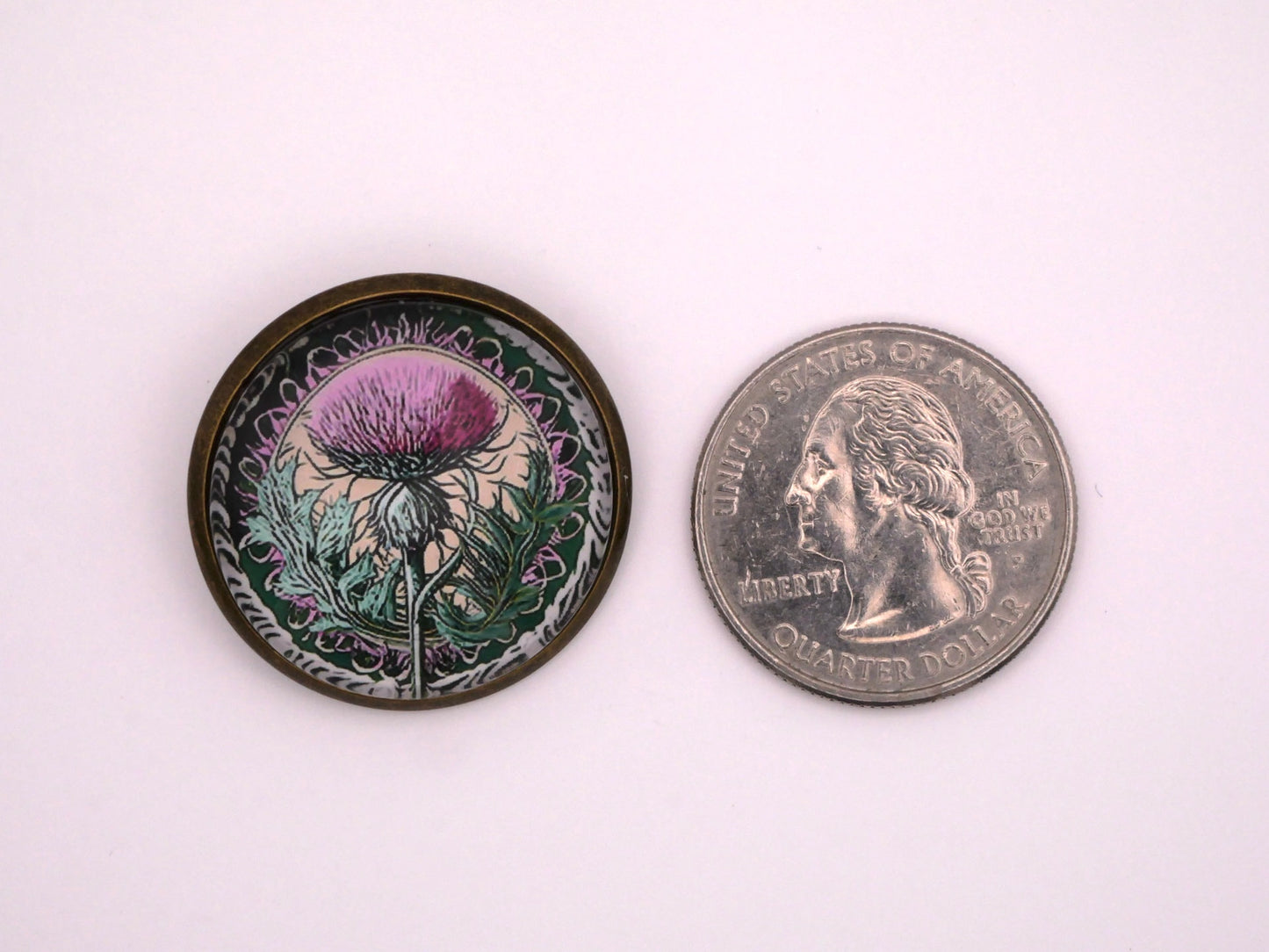 Thistle and Rope Glass Dome Scotland Button 28mm