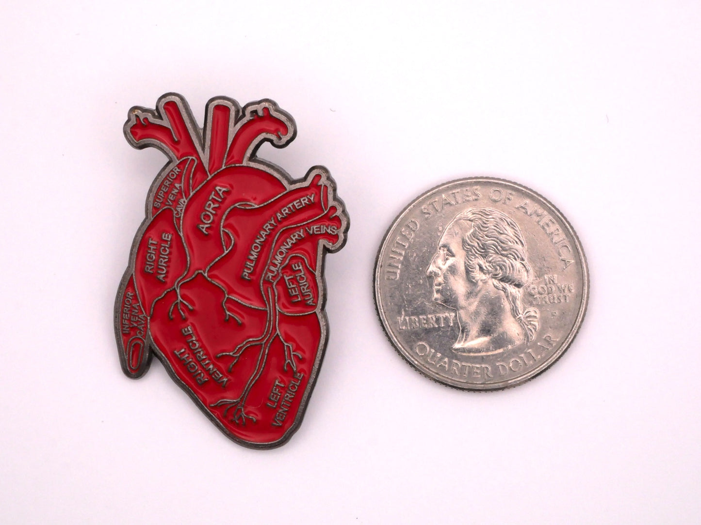 Anatomical Heart Enamel Button 28x41m