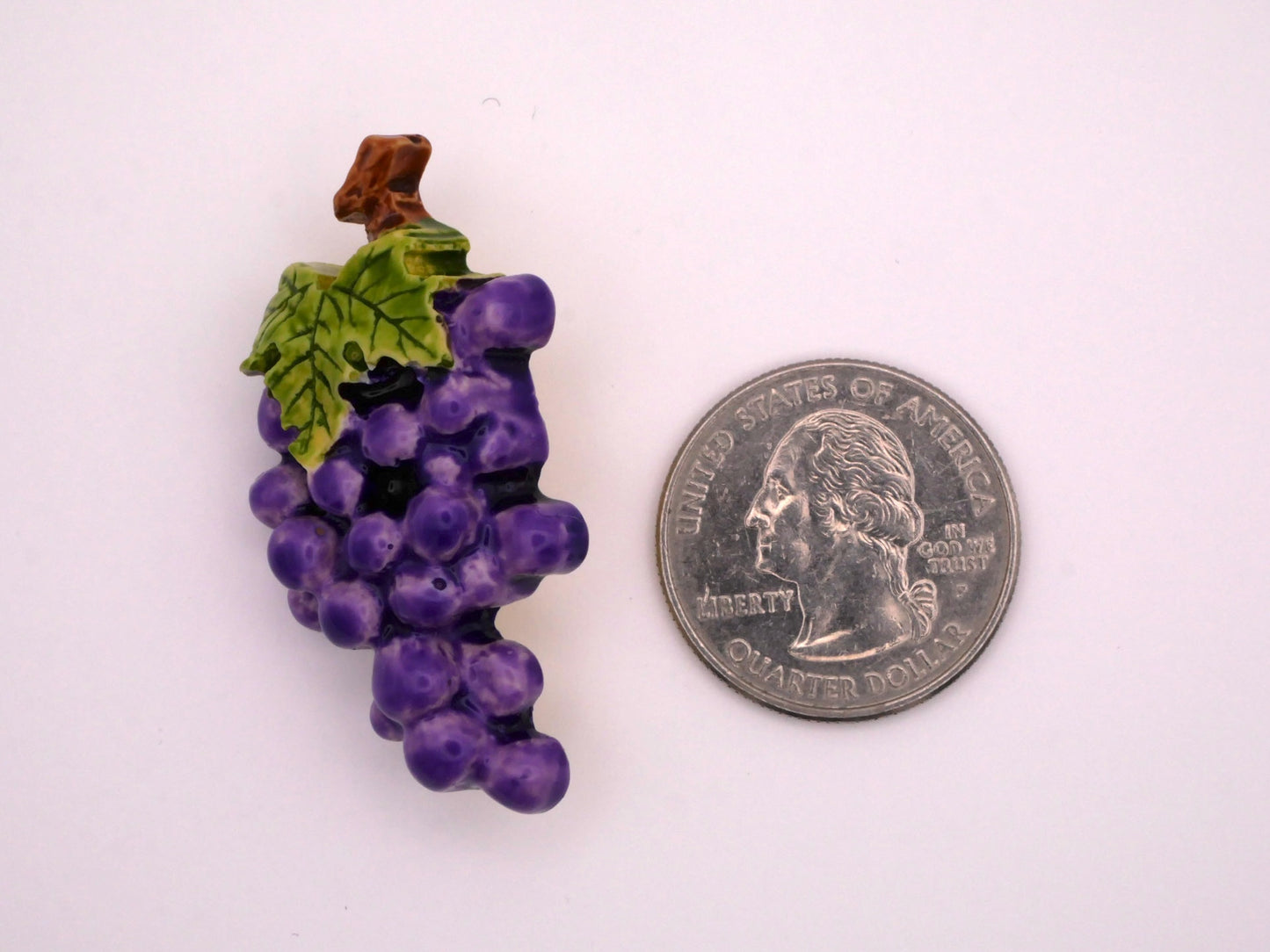 Concord Grapes Hand-Painted Plastic Button 23x45mm