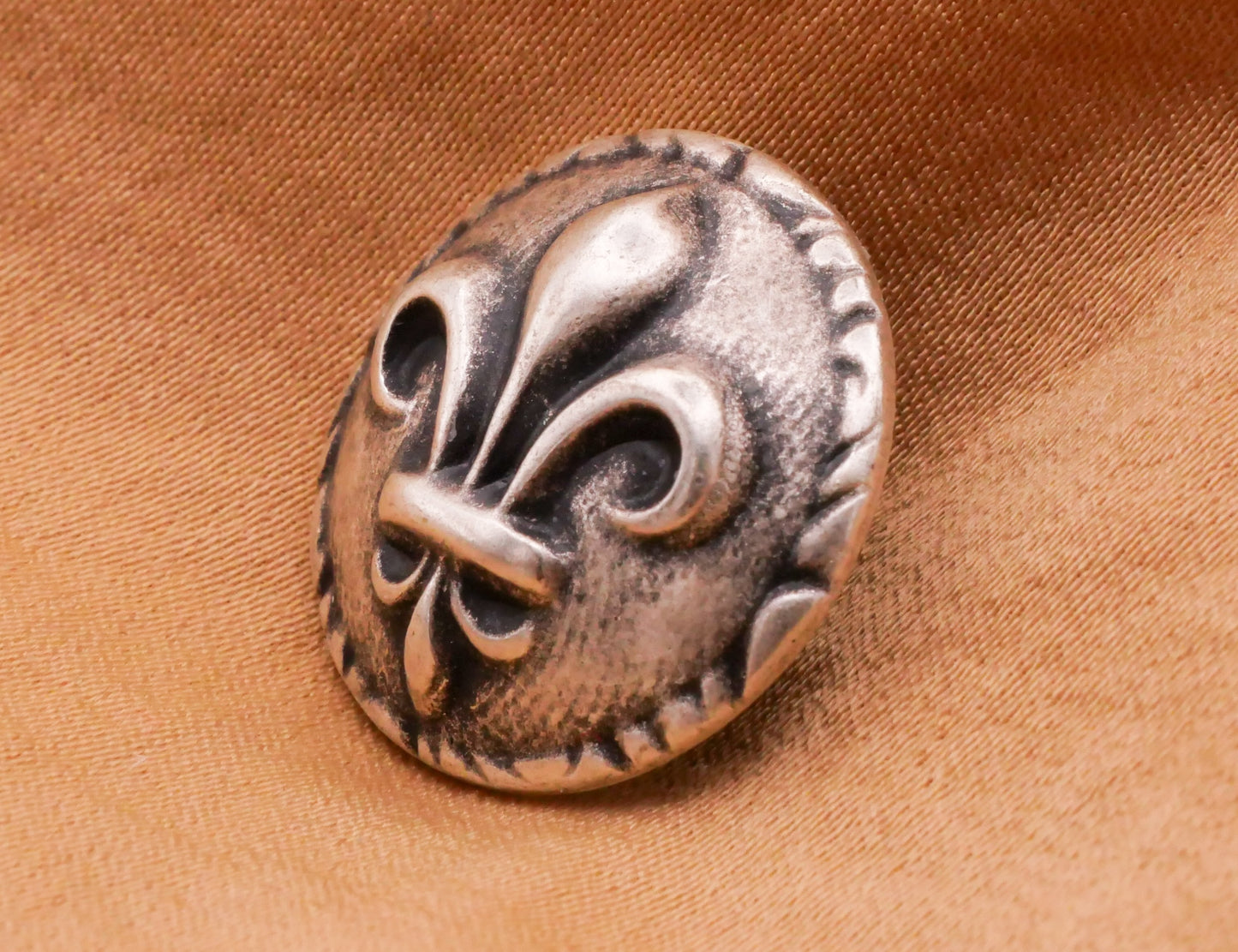 Fleur-de-lis Circle Border Antiqued Silver Metal Button 20mm