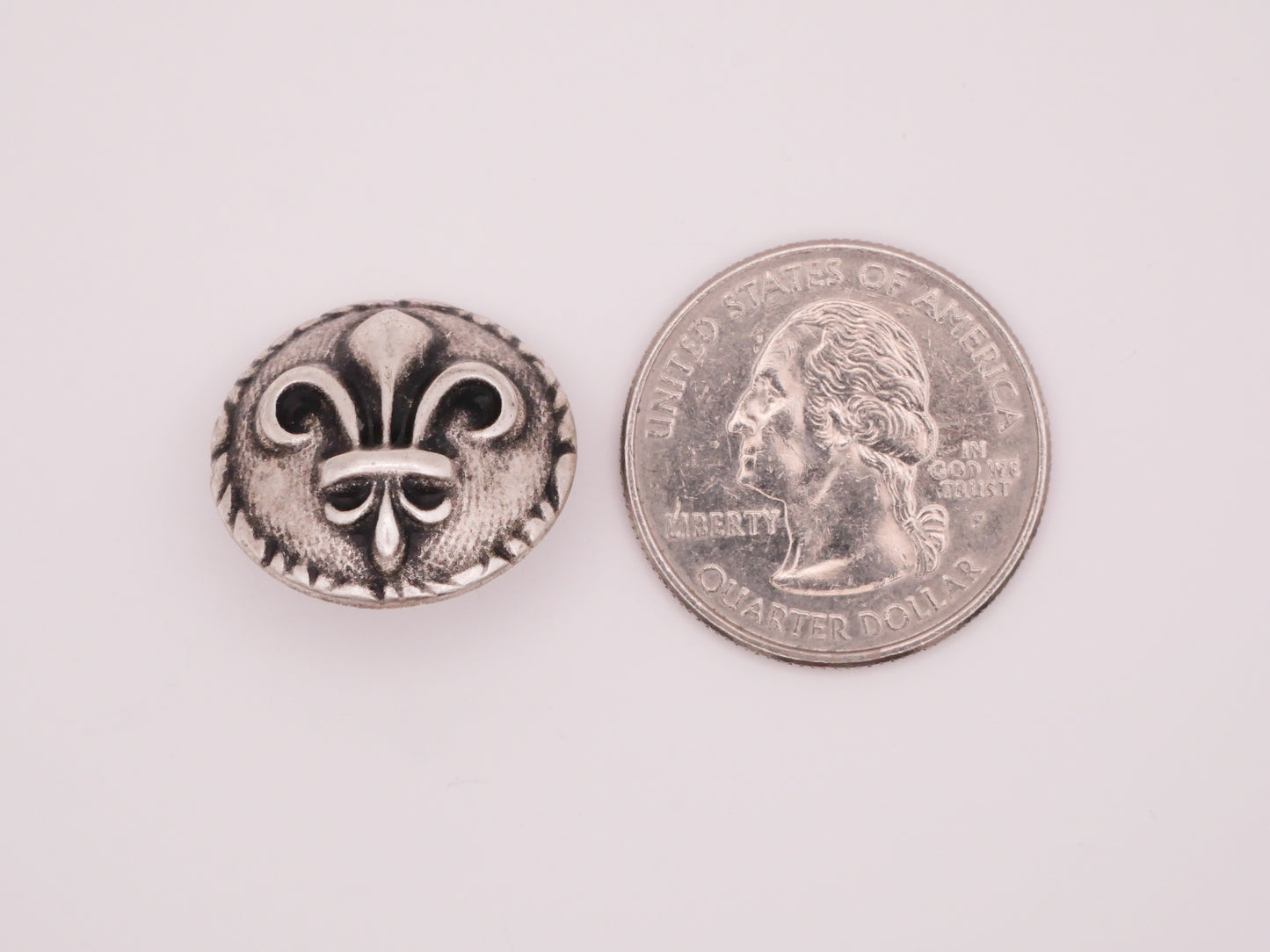 Fleur-de-lis Circle Border Antiqued Silver Metal Button 20mm