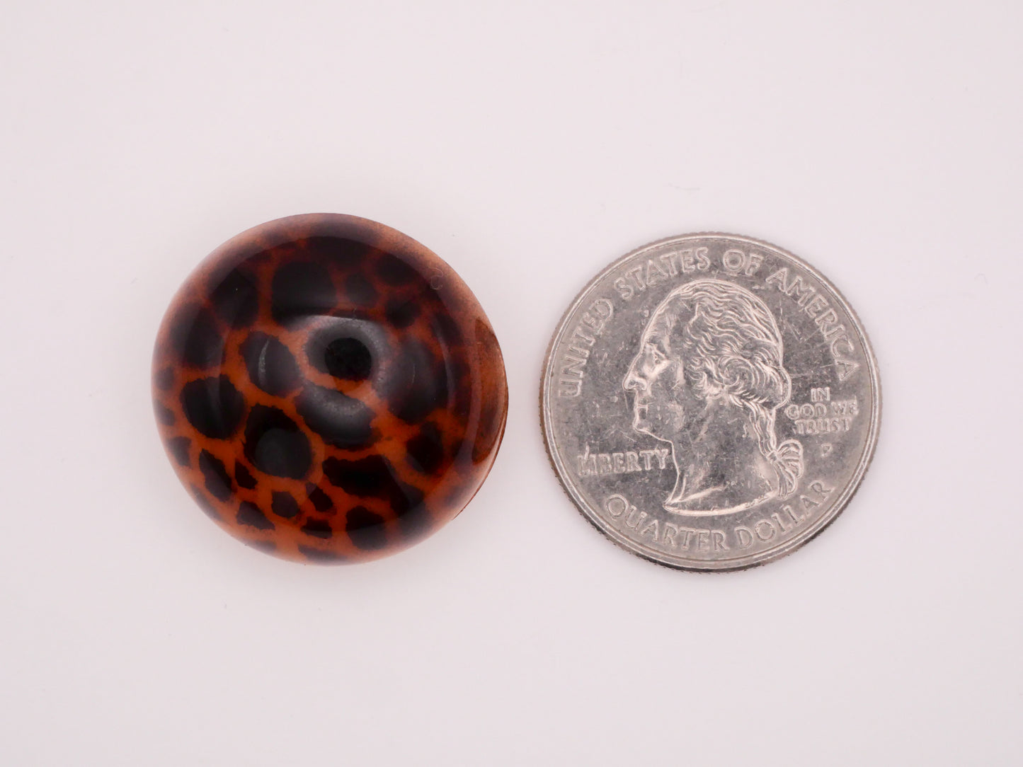 Cheetah Leopard Animal Print Dome Plastic Vintage Button 25mm