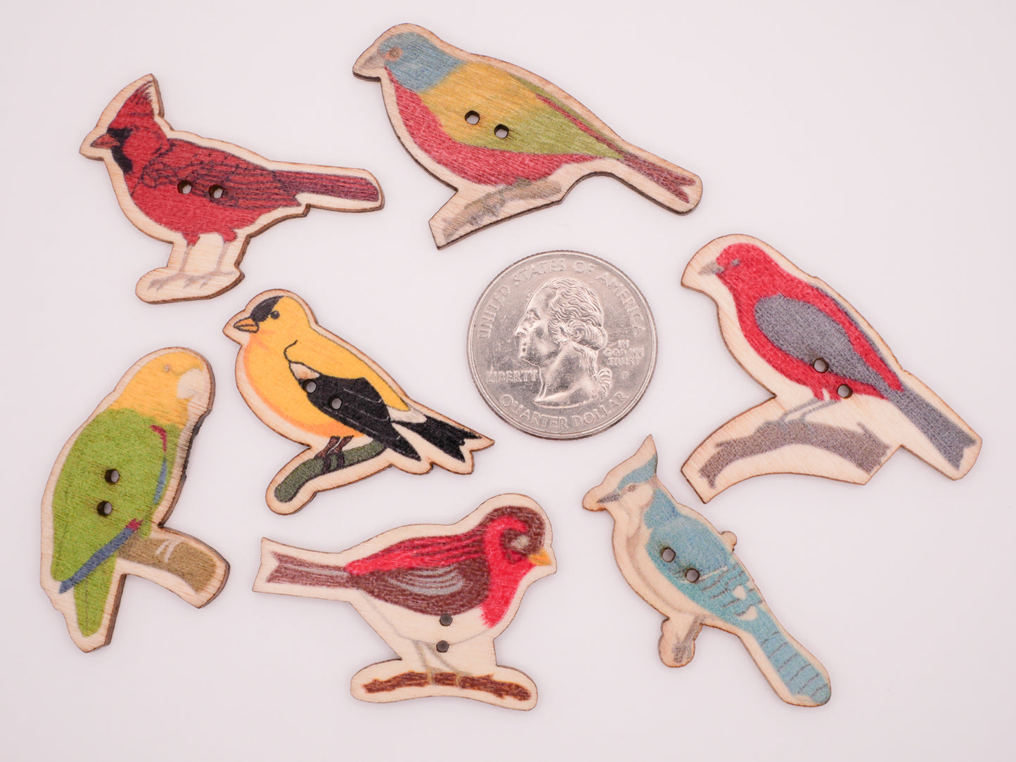 Bird Parrot Goldfinch Blue Jay Wood Sew-Thru Button Various 15-47mm