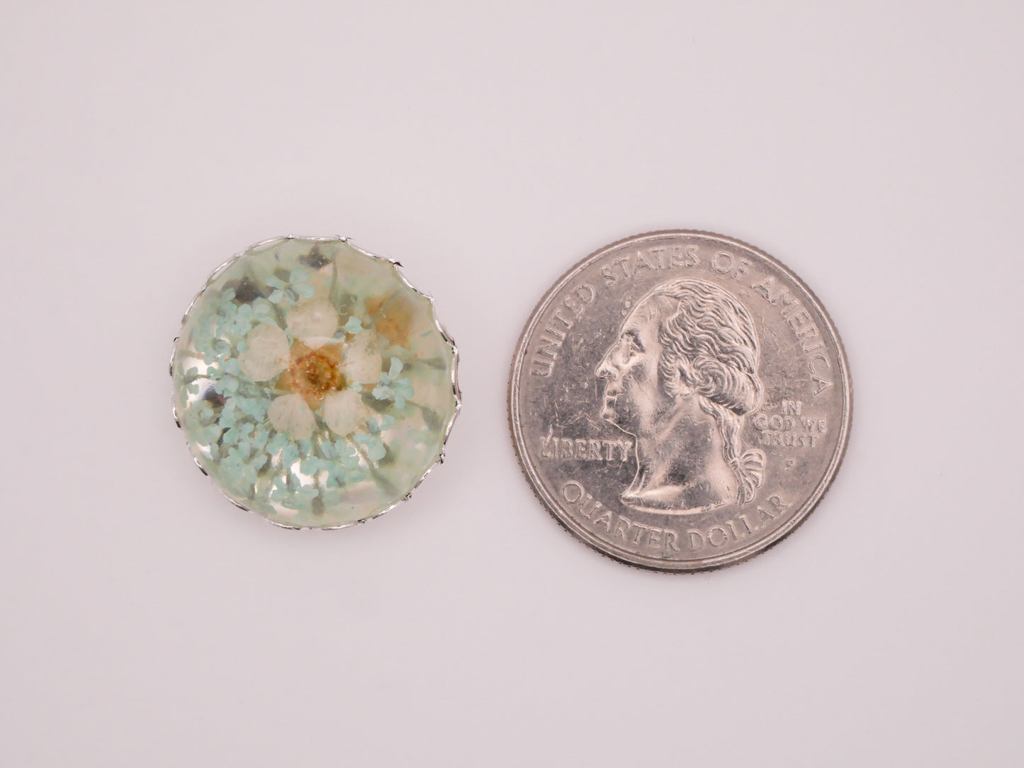 Habitat Real Flowers Resin Mint Green White Plastic Metal Button 21mm