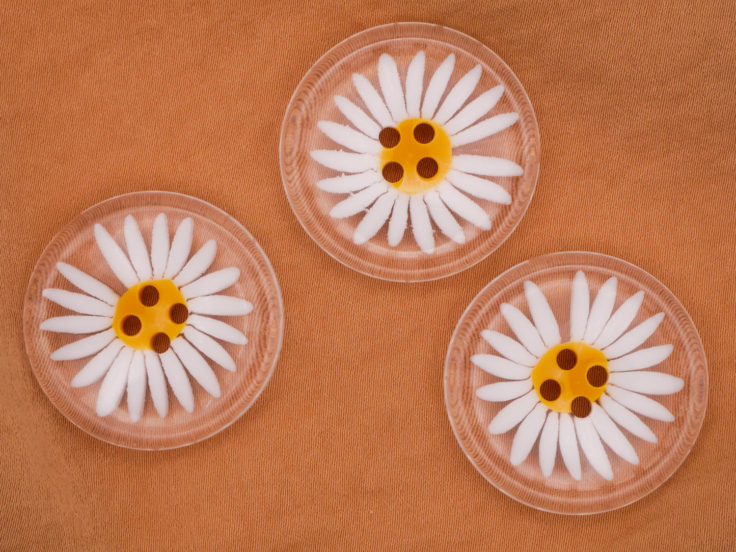 Daisy He Loves Me White Translucent Plastic Sew-Thru Set of Three Buttons 30mm