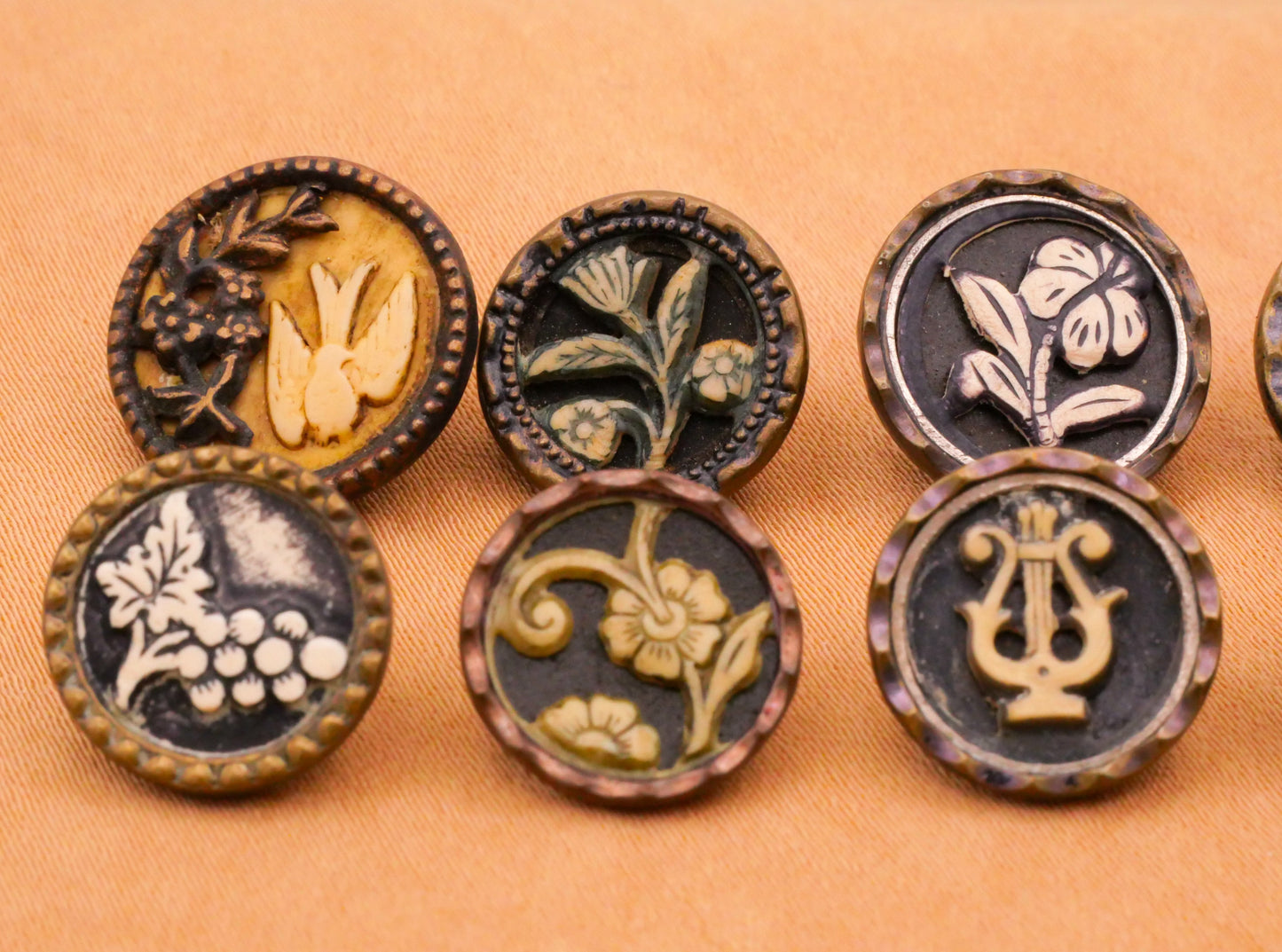 Ivoroid Picture Foliage Flowers Palm Harp Bird Grapes Victorian Celluloid Metal Button 13-15mm