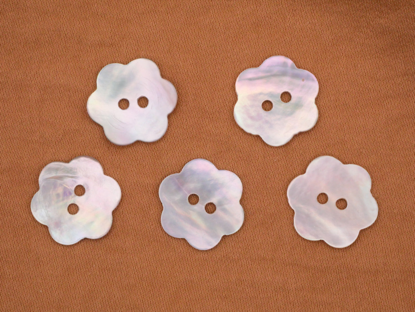 Flower Shape Mother of Pearl Set of Five Buttons 14mm