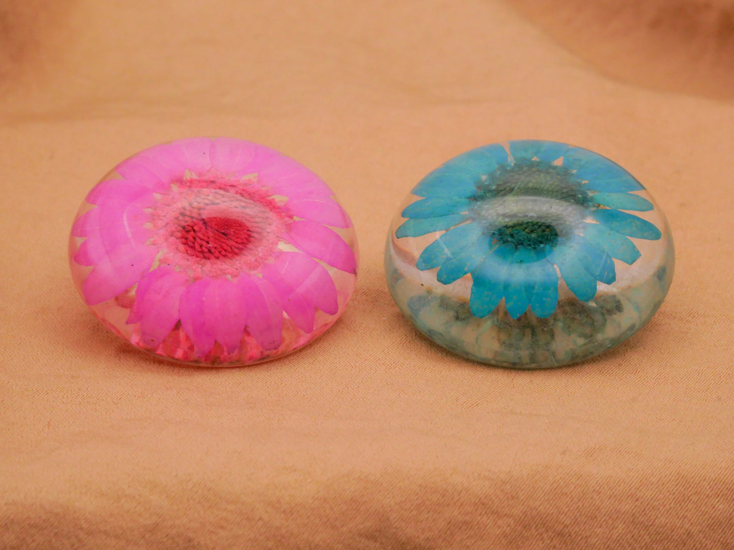 Habitat Look Real Flowers Dyed Pink Blue Green Resin Plastic Button Various 30mm