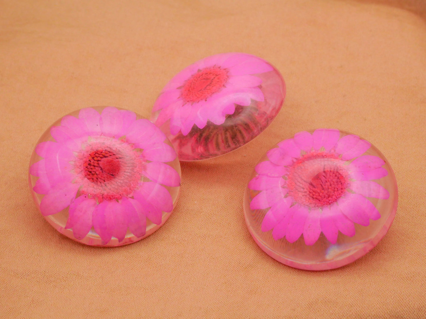 Habitat Look Real Flowers Dyed Pink Blue Green Resin Plastic Button Various 30mm