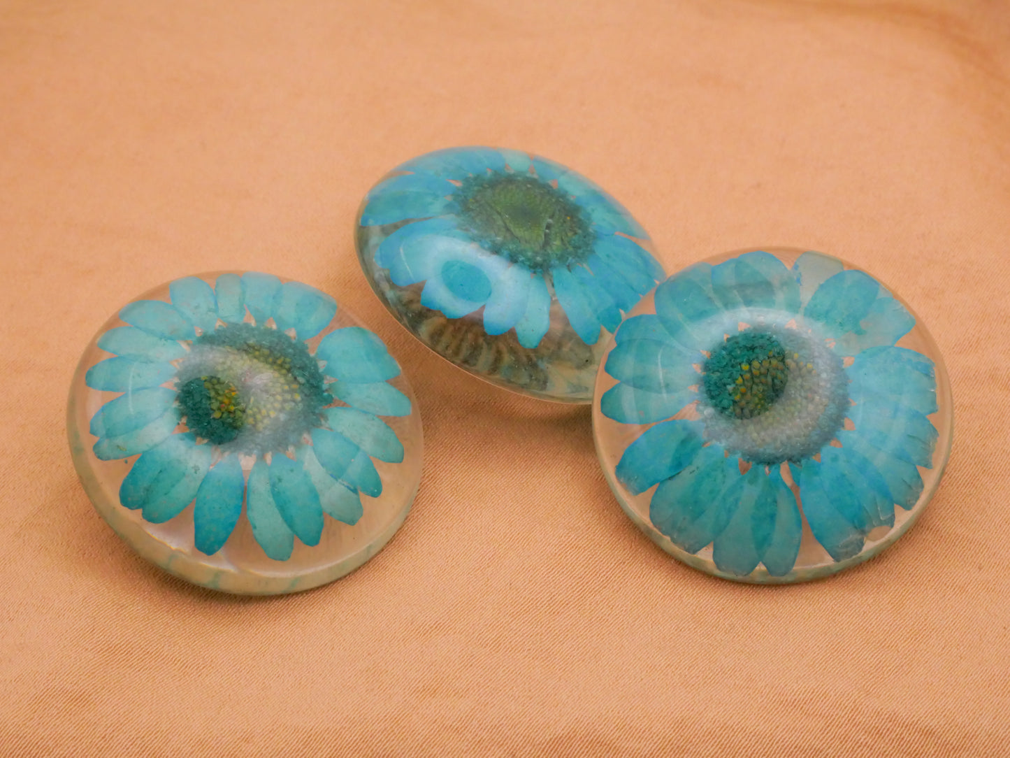 Habitat Look Real Flowers Dyed Pink Blue Green Resin Plastic Button Various 30mm