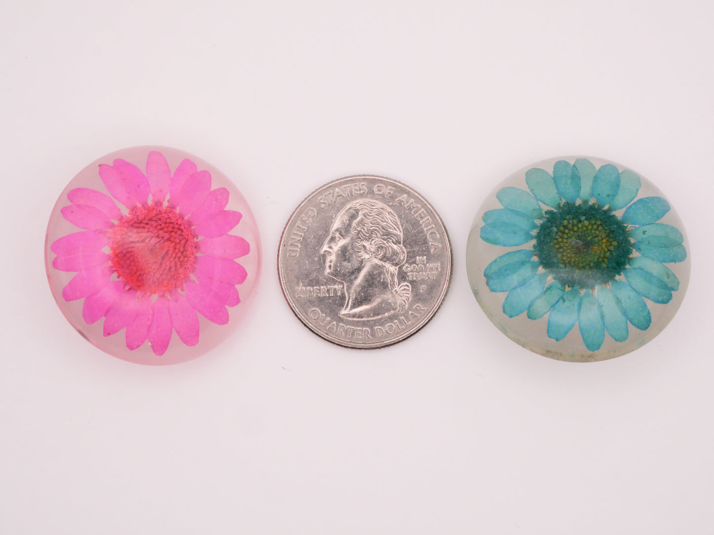 Habitat Look Real Flowers Dyed Pink Blue Green Resin Plastic Button Various 30mm