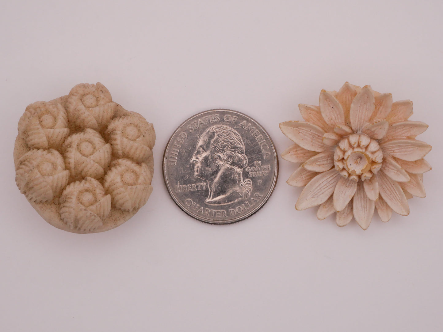 Ivory Look Flower Early Plastic Celluloid Vintage Button Various 29-30mm