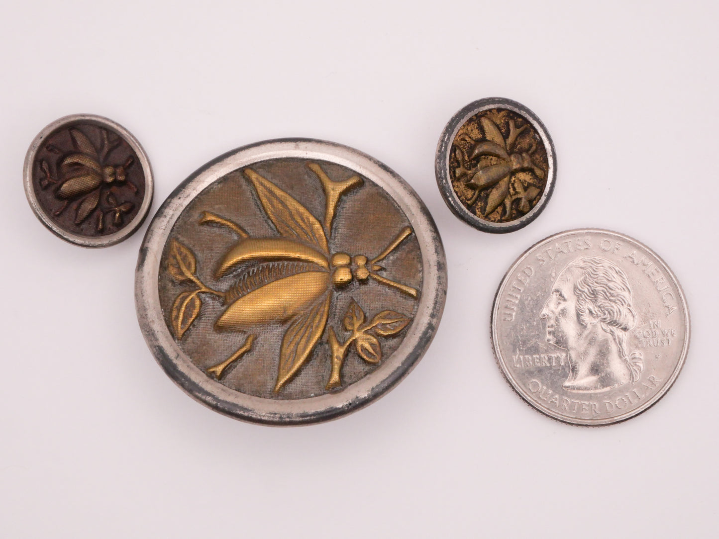 Beetle Insect Victorian Metal Large Button Various 17-37mm