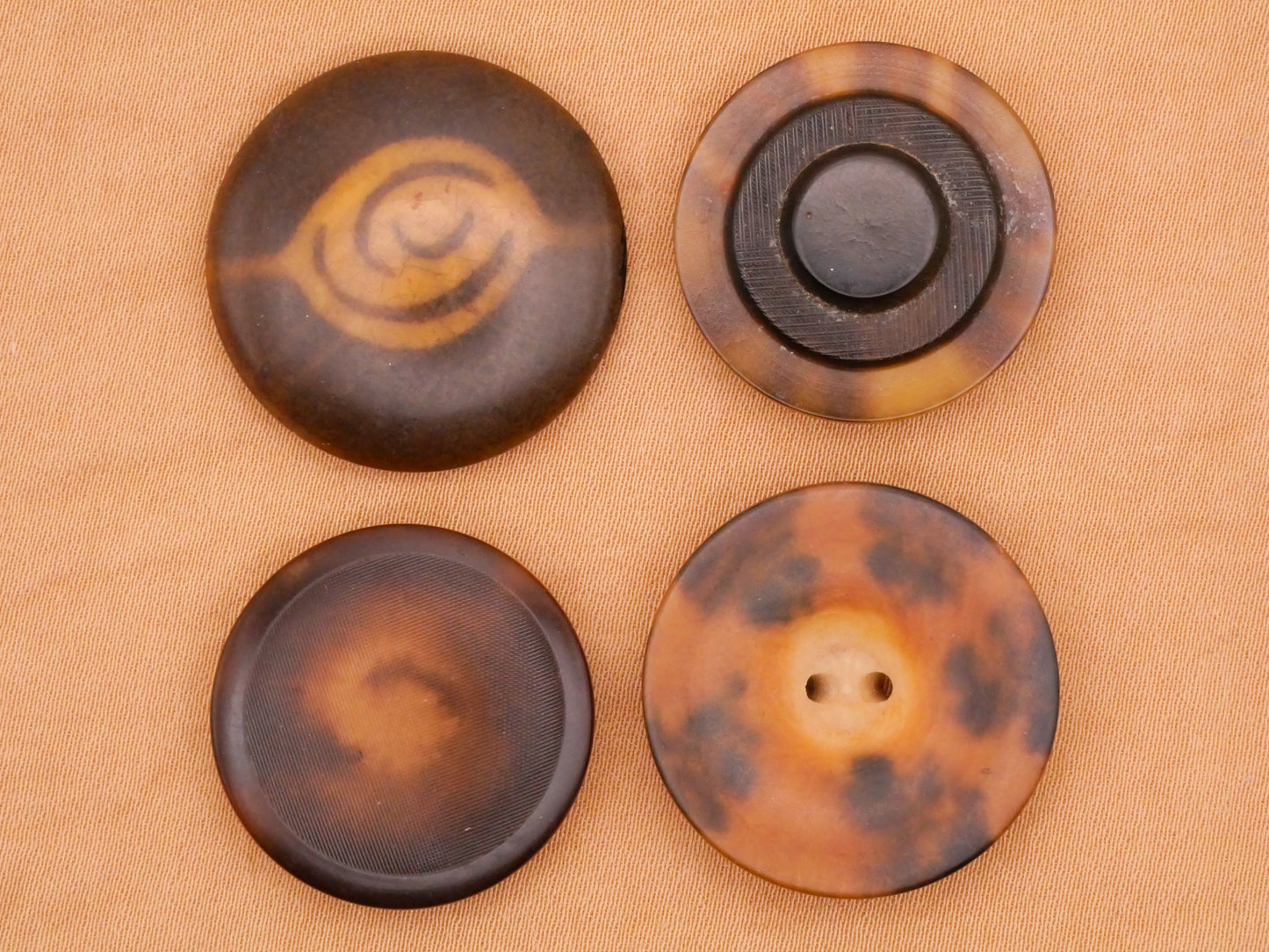 Vegetable Ivory Eye Tortoiseshell Look Tagua Nut Button Various 23-25mm