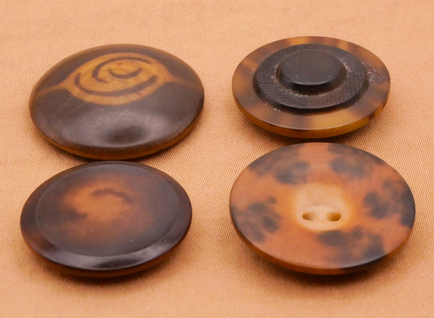 Vegetable Ivory Eye Tortoiseshell Look Tagua Nut Button Various 23-25mm