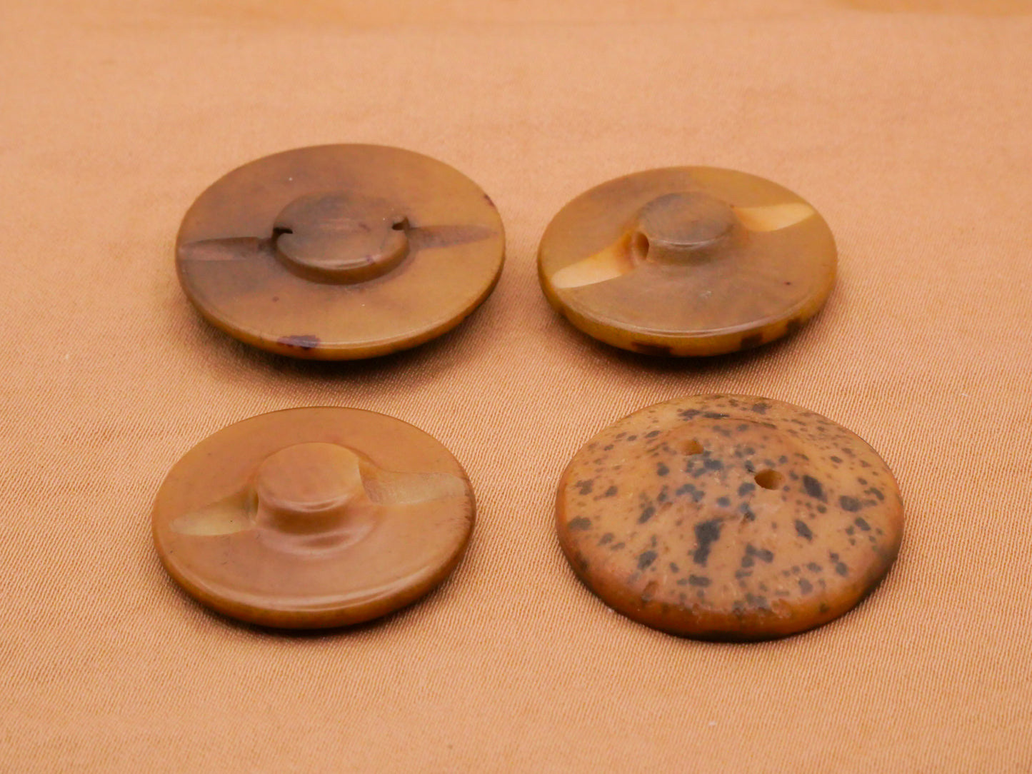 Vegetable Ivory Eye Tortoiseshell Look Tagua Nut Button Various 23-25mm