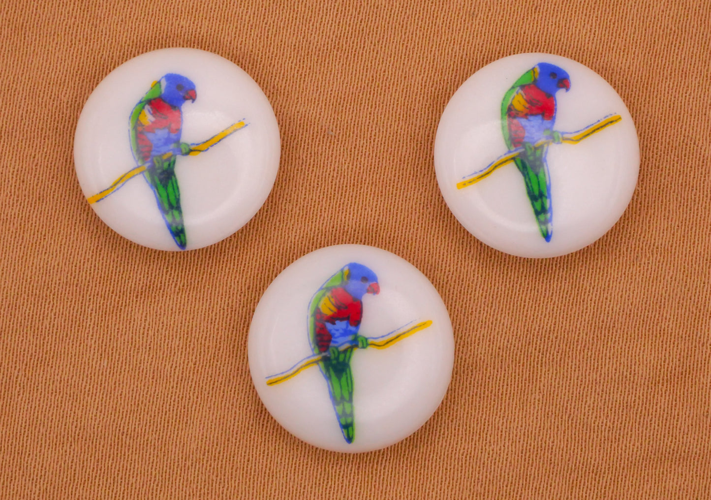 Rainbow Lorikeet Parrot Bird Colorful Plastic Button 14mm