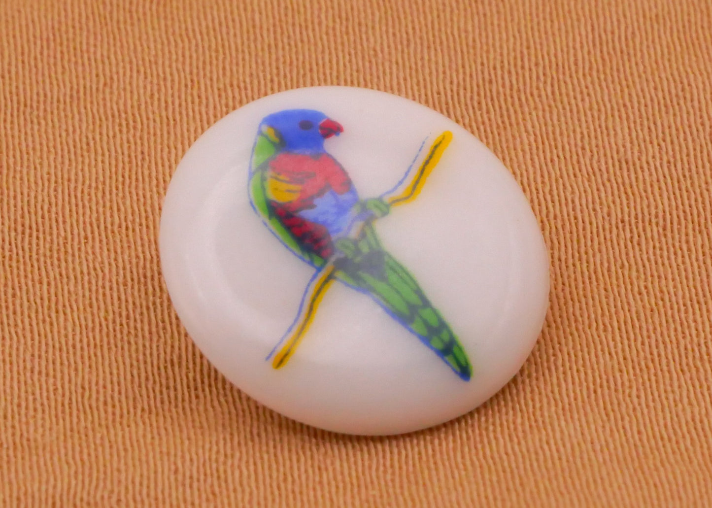 Rainbow Lorikeet Parrot Bird Colorful Plastic Button 14mm