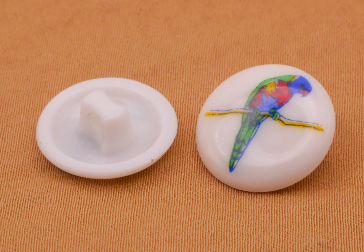 Rainbow Lorikeet Parrot Bird Colorful Plastic Button 14mm