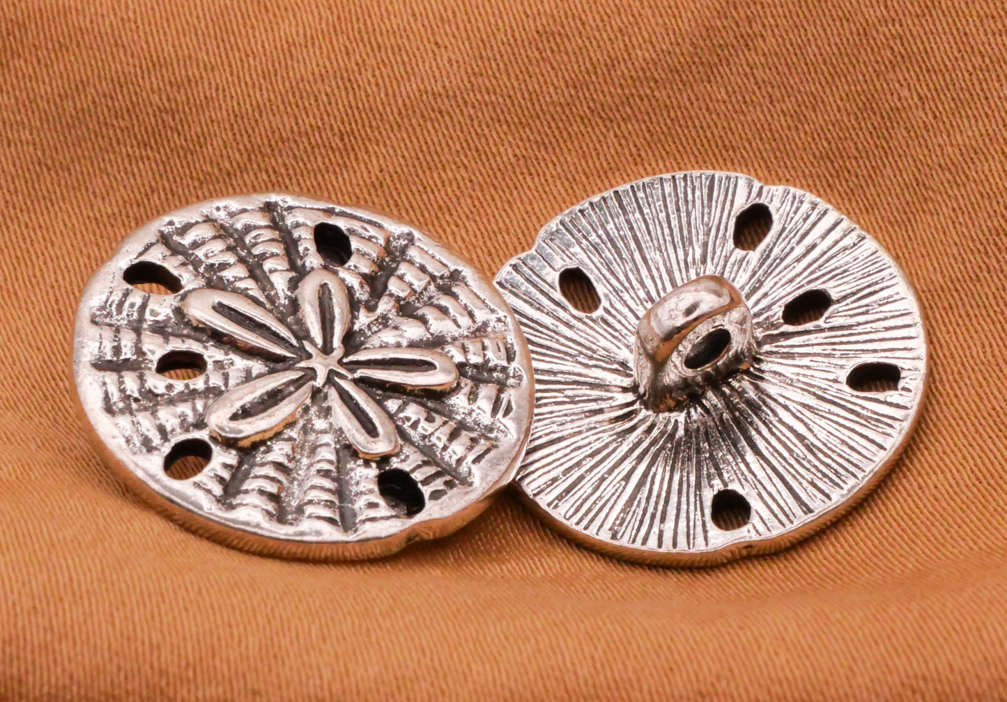 Sand Dollar Sea Urchin Realistic Metal Button 19mm